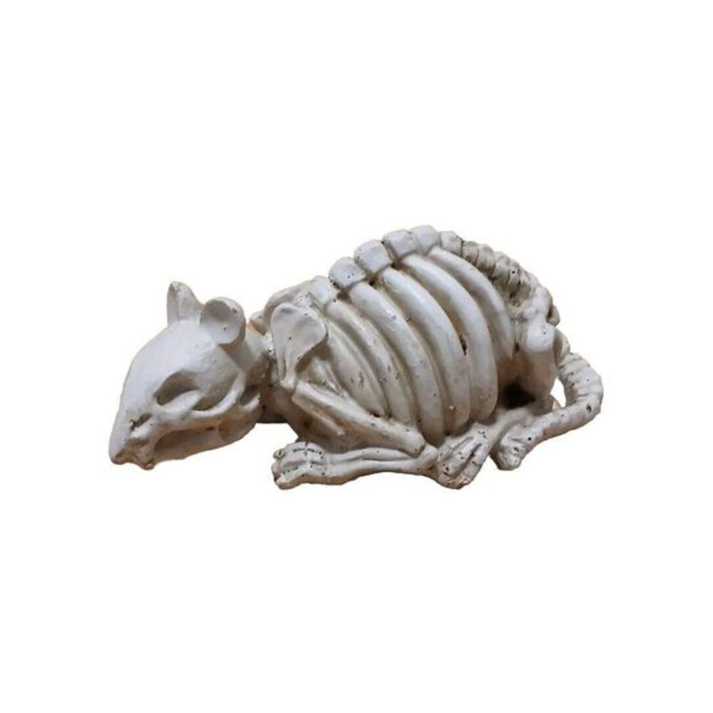 Rat‎ Skeleton Painted Plaster Halloween 5" Rodent Model